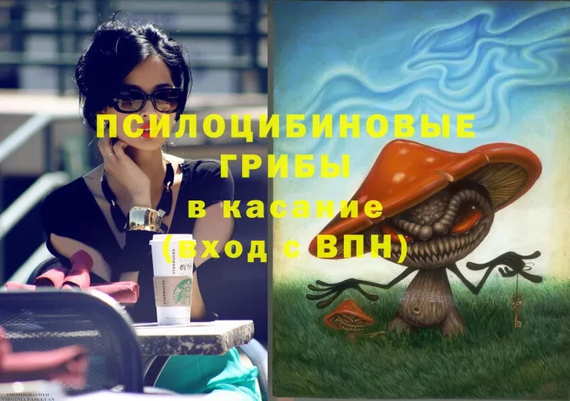 Галлюциногенные грибы Magic Shrooms  Лениногорск 